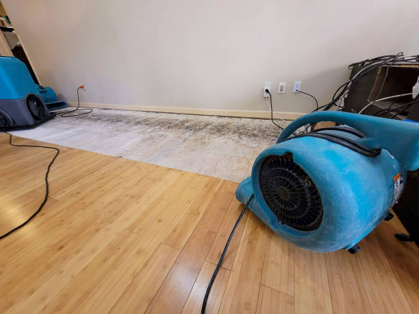 Professional Structural Drying technician working in Guthrie, KY